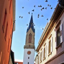 Stiftskirche